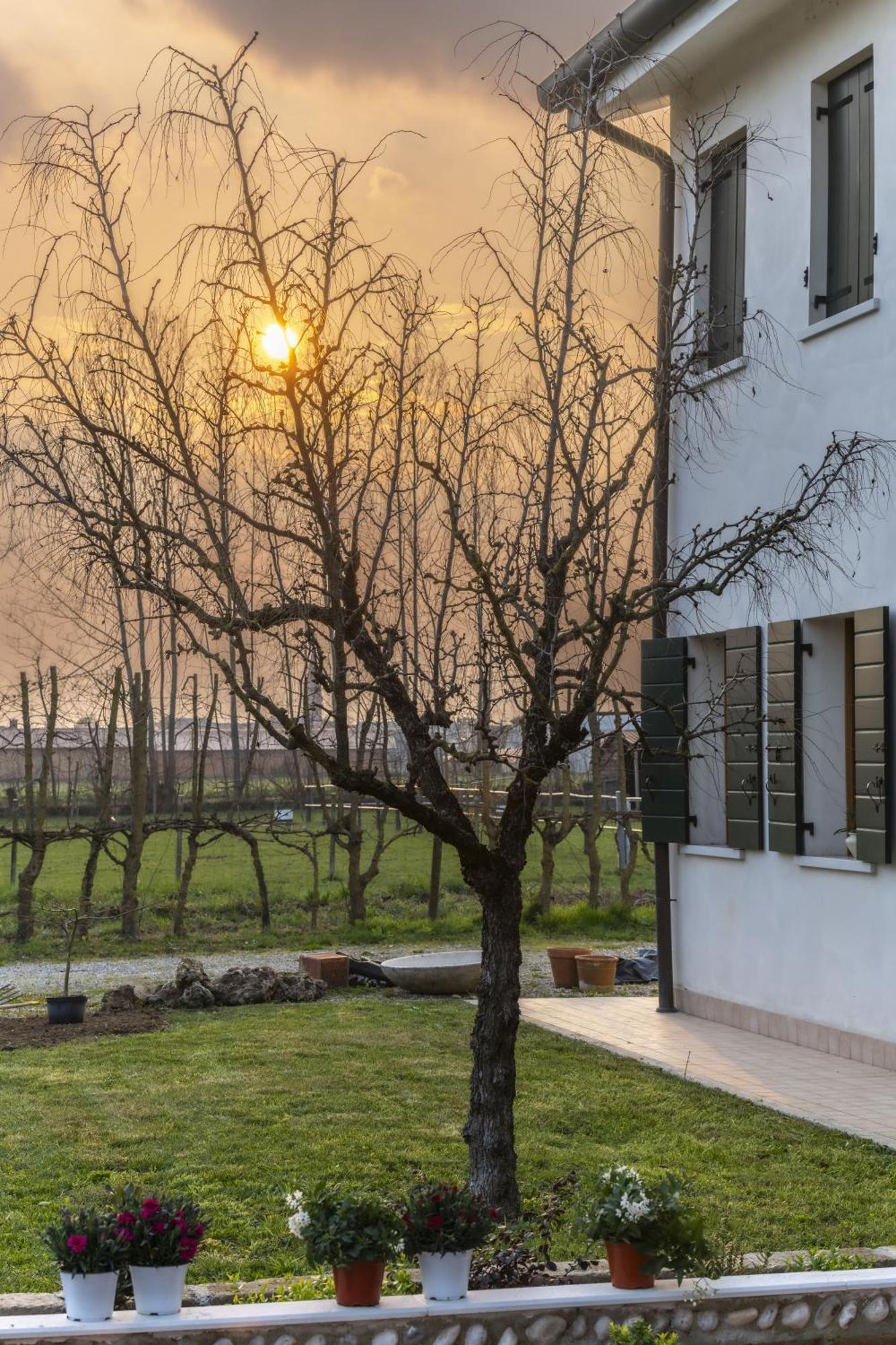 Agriturismo Al Botteniga Treviso Exteriör bild