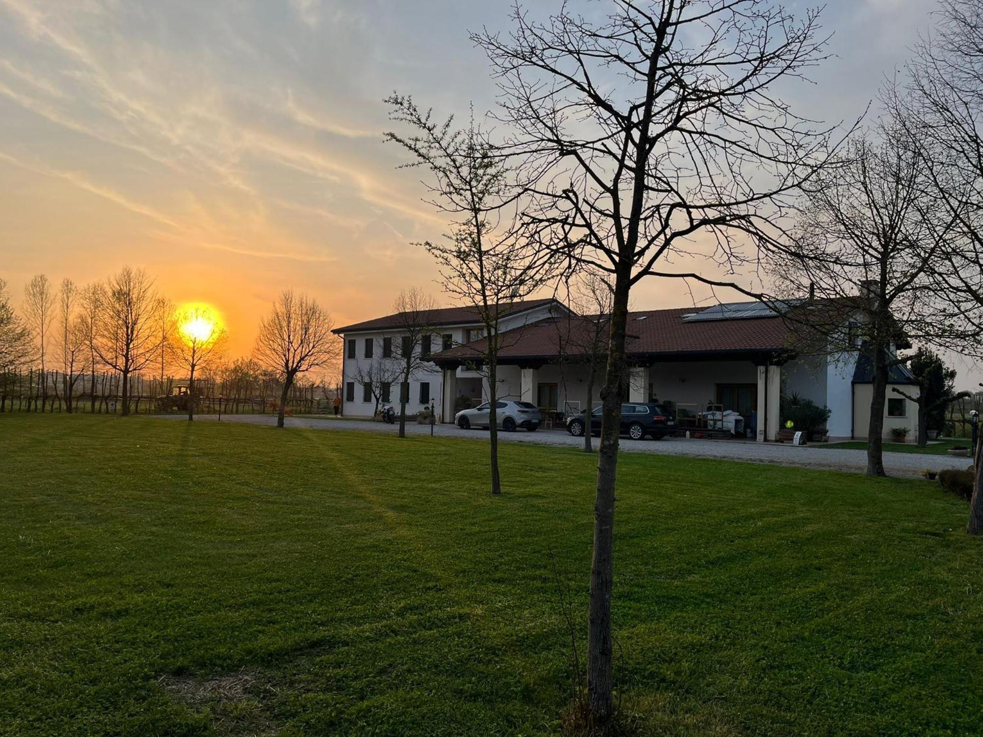 Agriturismo Al Botteniga Treviso Exteriör bild