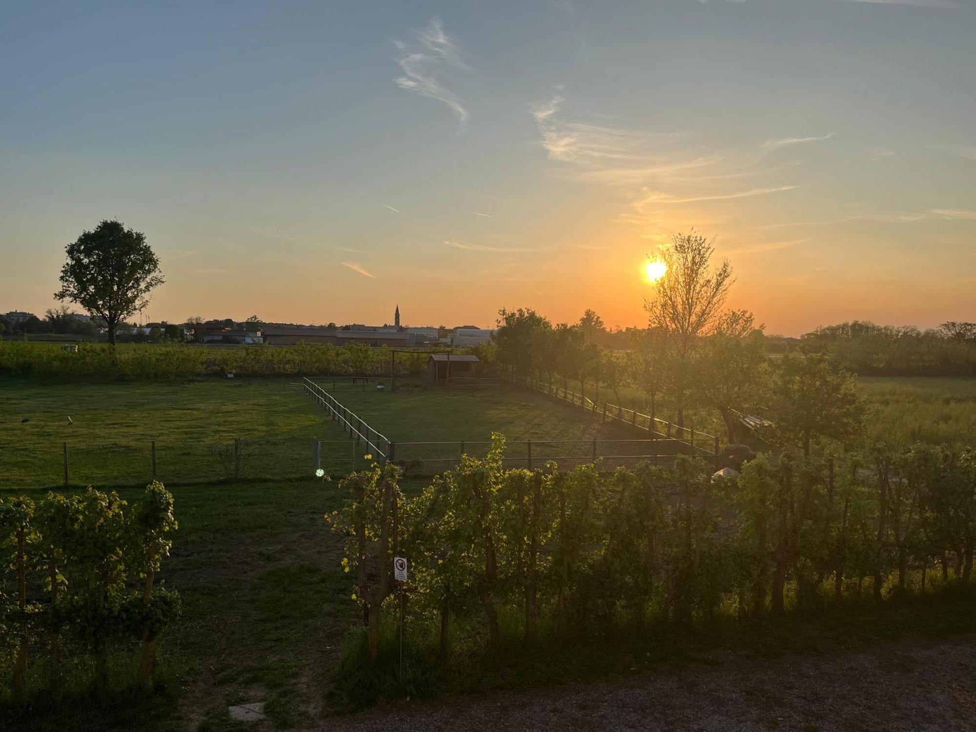 Agriturismo Al Botteniga Treviso Exteriör bild