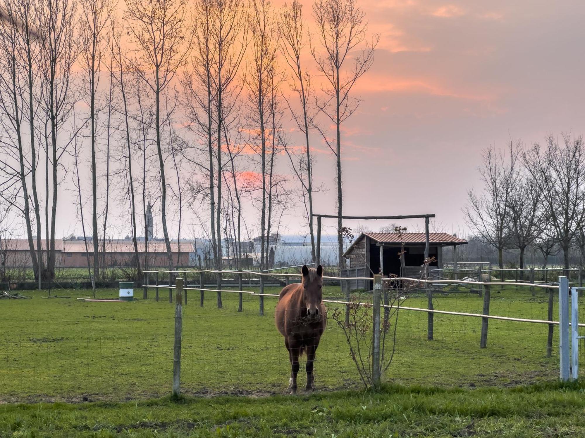 Agriturismo Al Botteniga Treviso Exteriör bild